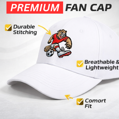 FIFA 2026 Fan Cap